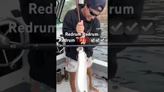 #fishing #fish #outdoors #ocean #boating #bigfish #fishinglife #halibutfishing #islandlife #stoked