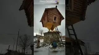 choose your one cabin House #shorts #house #forest #letgo