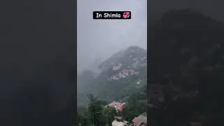 SHIMLA in July | #himachal #viral #explore #trending  #shimla #shorts #shortvideo