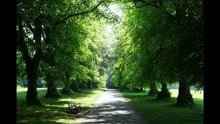 Relaxing Landscape Slideshow Set to a Chopin Nocturne for Deep Relaxation & Calm