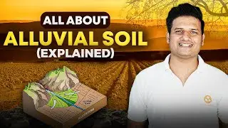 Alluvial Soil - Resources and Development | Class 10 Geography 2023-2024