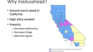 Impacts of Elymus caput-medusae L. management on plant communities in California&rsquo;s valley grasslands