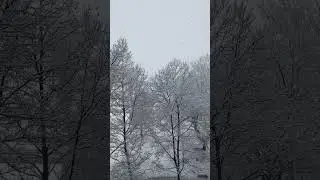 Zagreb 19.01.24 Snowfall #europe #trandingshorts #trending #trevel #croatia #zagreb #zagrebcroatia