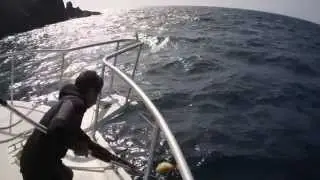 Sail Caribbean Divers - Carval Rock dive, British Virgin Islands