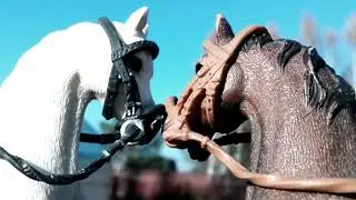 Scars to your beatifiul - schleich music video