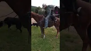 Horse parkour ￼#Parkour #Stunts #Wildin #Falls #fails  #Ranching #Cowboy #Western #Doritos #Election