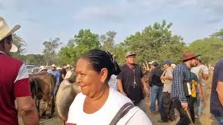 Martes 30 de abril 2024, tiangue de El Tránsito, San Miguel Oeste, El Salvador.