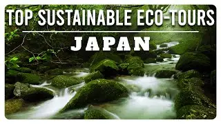Go Green in Japan: Must-Know Secrets About Sustainable Eco-Tours!