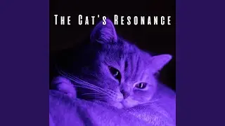 Feline Fantasy