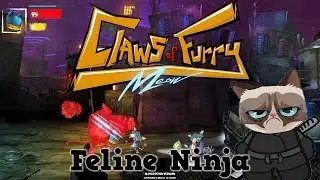 Claws of Fury - Feline Ninja