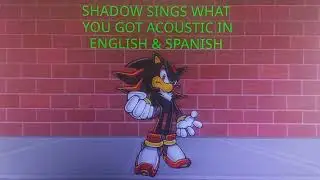 Shadow the Hedgehog: What You Got (Acoustic in English & Spanish)