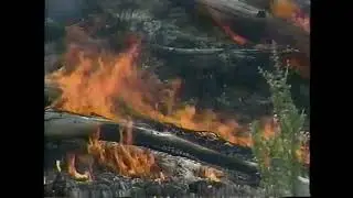 Wildfires in 9 Western States News (2002)