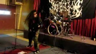 dead snake  en punta arenas
