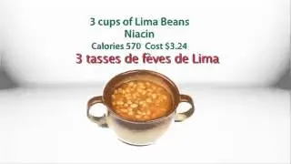 Body by Vi   What Do I Take French Visalus Shakes