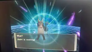 Pok&eacute;mon XD Gale of Darkness Poochyena evolves Into Mightyena