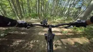 MTB | Wienerwald Trails | Sauberg Trail | September 2023