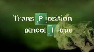 14-Transposition pincolique