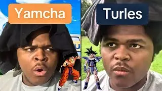 TURLES JUMPS YAMCHA