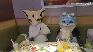 Furry birthday