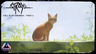First Time Playing Stray on PS5, Part 2 - Live Stream Replay From 12-24-2025