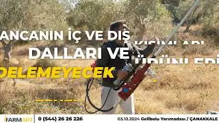 ZEYTİN 4 FARMART BSA62 ZEYTİN HASAT MAKİNASI PROFESYONEL YAN TİL DAL SİLKELEME 03.10.2024 GELİBOLU