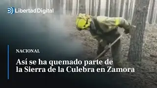 Así se ha quemado parte de la Sierra de la Culebra en Zamora