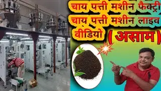 &ldquo;Assam Tea Factory LIVE 🫖| Chai Patti Machine Full Process | mini blogs video 