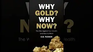 Why Gold Why Now by EB Tucker | Book Review