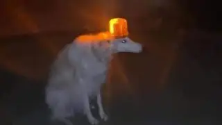 Hilarious memes that unexpected V7