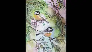 Two chickadees (soothing instrumental music)