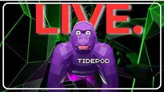 🔴Playing ANIMAL COMPANY Witch VIEWERS!🔴 (live)