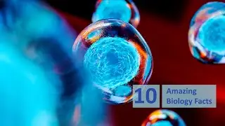 10 Amazing Biology Facts