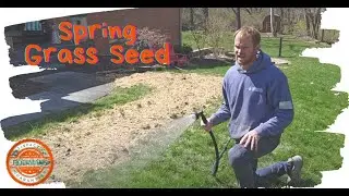 What to Know about Spring Lawn Seed