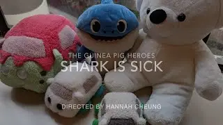 The Guinea Pig Heroes - Shark is sick