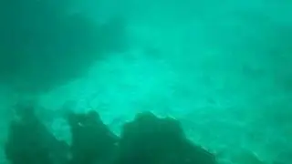 100ft deep dive