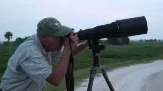 Charlie Corbeil at the Viera Wetlands