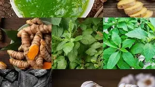 Benefits of charcoal, bitter leaf, scent leaves, ginger, garlic and tumeric 