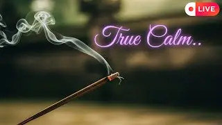 Indonesian Ambient Music Live &ndash; Deep Relaxation & Peaceful Meditation