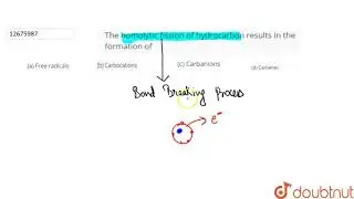 The hymolytic fission of hydrocarbon results in the formation of