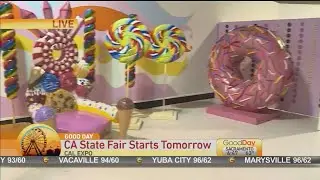 Ca State Fair