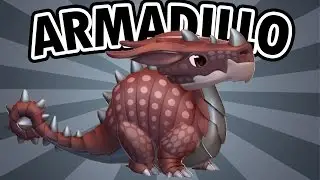 How to get ARMADILLO - Dragon Mania Legends