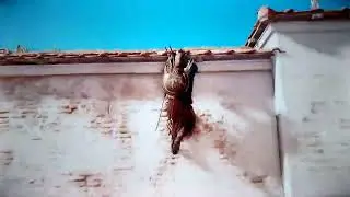AC Origins - Sekhmet Costume