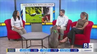 Pars for Pets invites golfers to take a swing at supporting Lollypop Farm