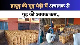 हापुड़ की गुड़ मंड़ी में अचानक से गुड़ की आवक कम | Hapur Hulchul | Hapur News | Breaking News