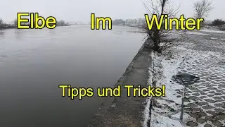 Angeln im Winter in der Elbe! Tipps und Tricks! Geht der Plan auf?