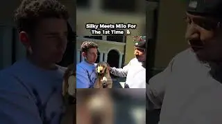 Silky Meets Milo For The 1st Time 🐶 #fazesilky #silky #stableronaldo #fazelacy #lacy #cute #dog