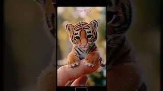 Save Wild Life 🐣🐑🐱🐯 | Pet Animals | Domestic Animals #kids #babyanimals #animalherokids #animalday
