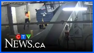 Takedown of Pearson baggage handler accused of drug trafficking caught on video