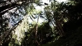 hochkant GmbH -- Fly-Line