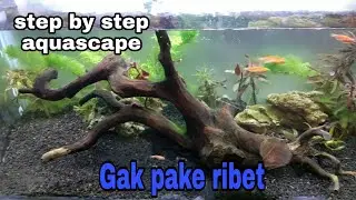 cara membuat aquascape tanpa co2 dan filter